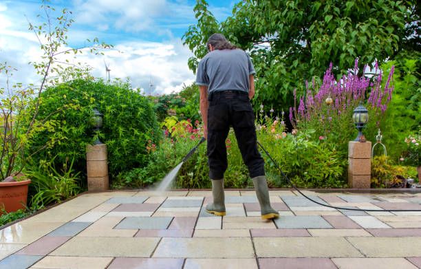 Best Fence Cleaning and Maintenance in Wheaton, MN