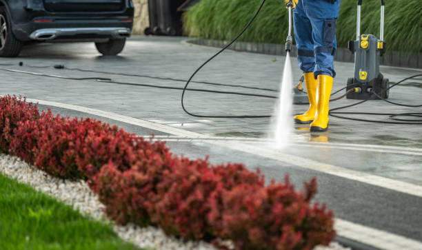 Best Vinyl Siding Pressure Washing in Wheaton, MN